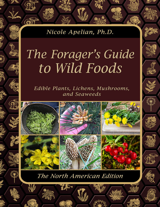 The Forager’s Guide to Wild Foods | O#Health