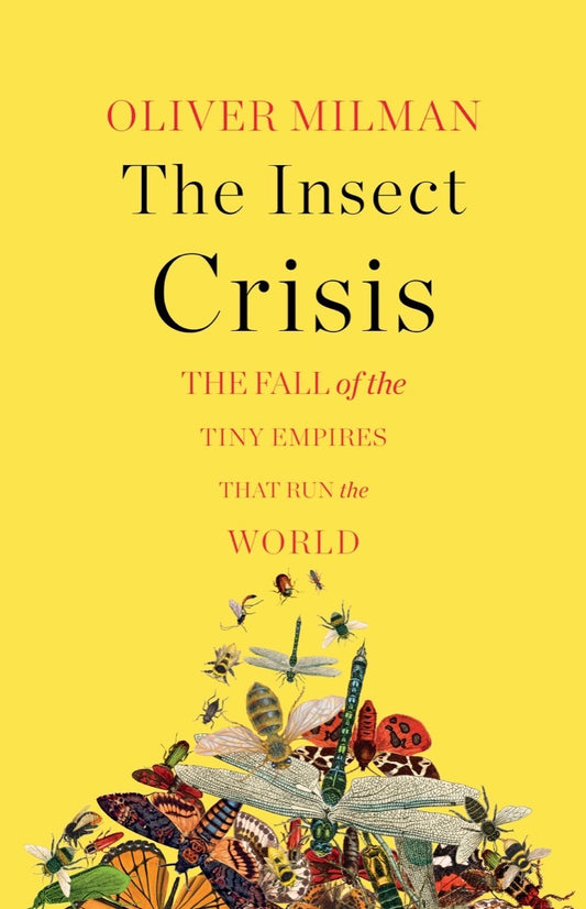 The Insect Crisis: The Fall of the Tiny Empires That Run the World | O#Environment
